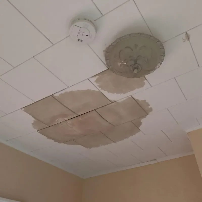Ceiling Water Damage Repair in Wilsonville, AL