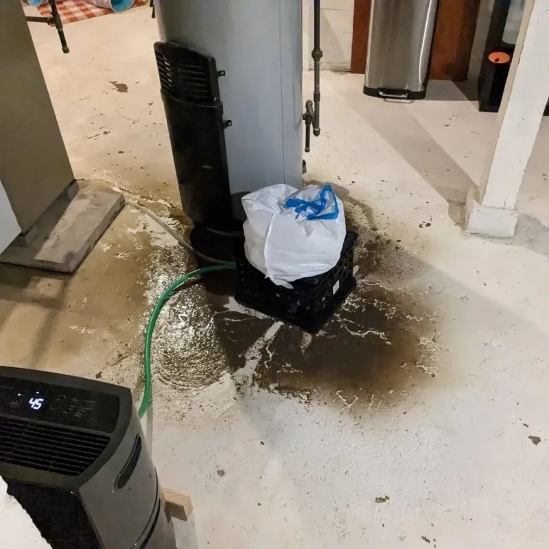 Sewage Backup Cleanup Service in Wilsonville, AL